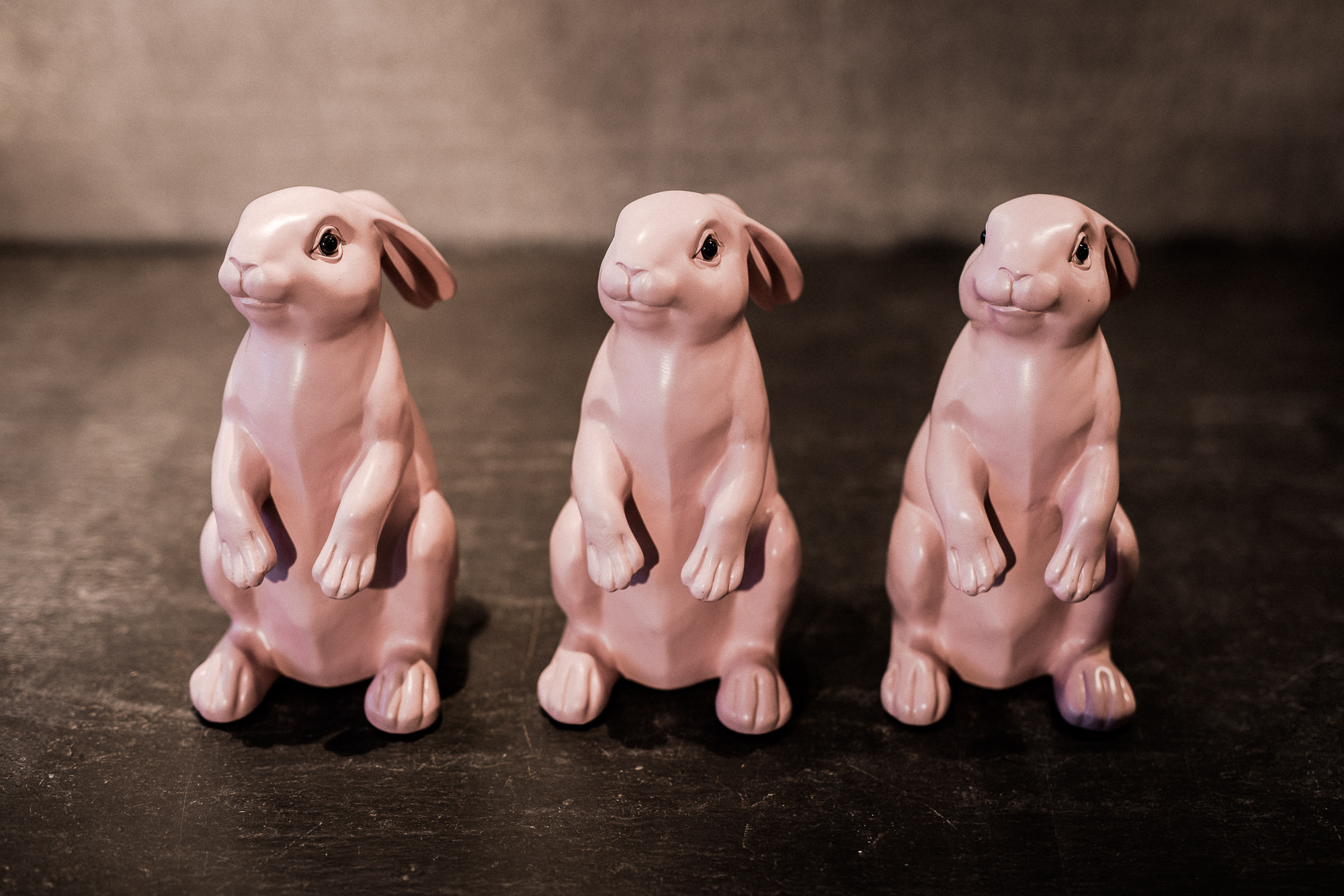 Image- und Produktfotografie